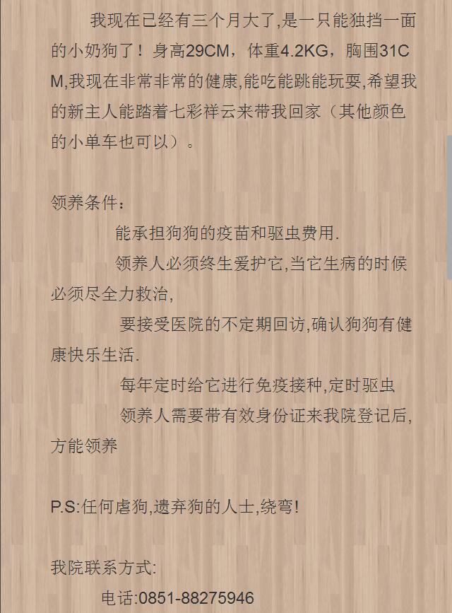 2017年11月20日 小金毛领养档案