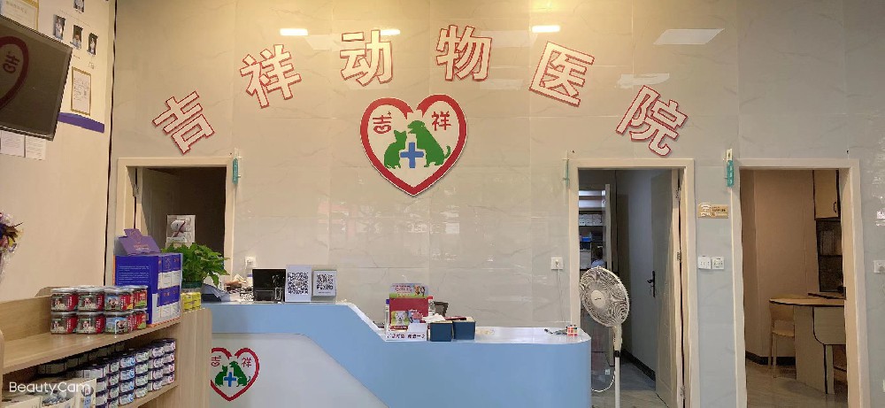 宝山店总院