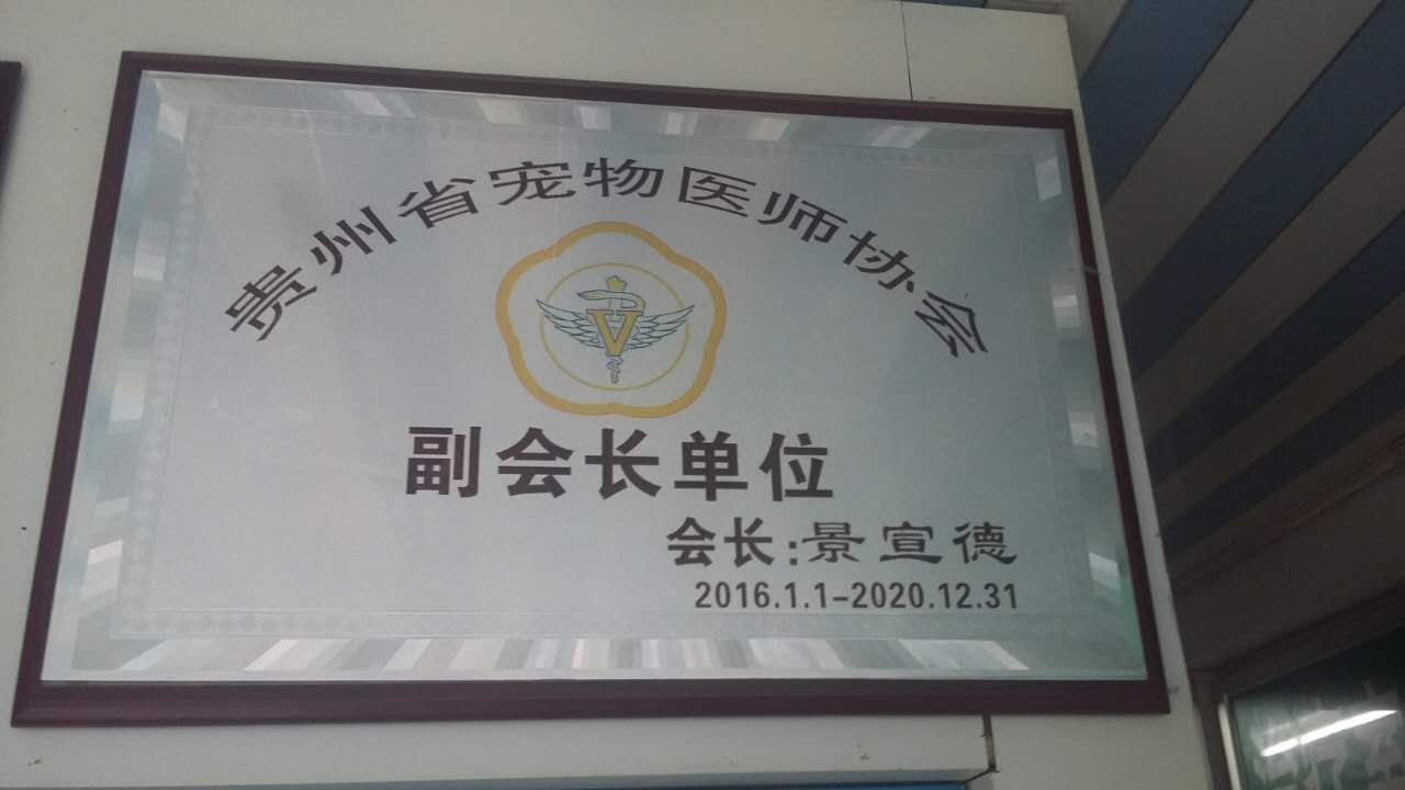副会长单位