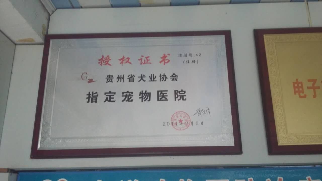 指定宠物医院